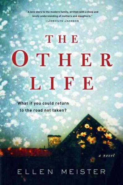 The other life / Ellen Meister.