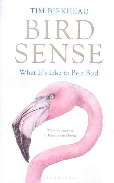 Bird sense : what it's like to be a bird / Tim Birkhead ; [with illustrations by Katrina van Grouw].
