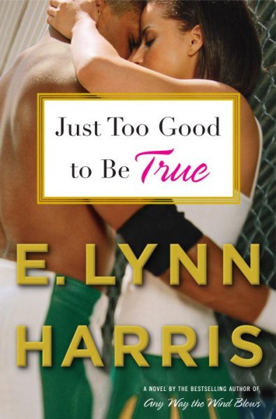 Just too good to be true / by E. Lynn Harris.