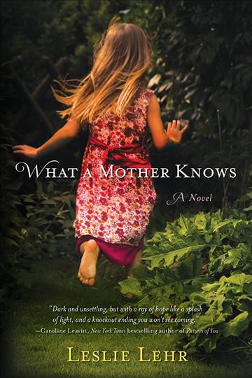 What a mother knows [electronic resource] : a novel / Leslie Lehr.