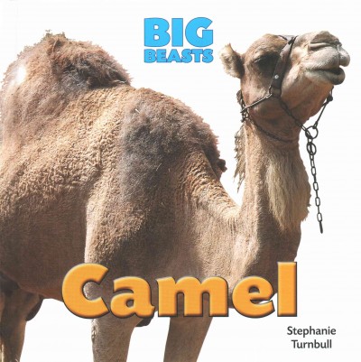 Camel / Stephanie Turnbull.