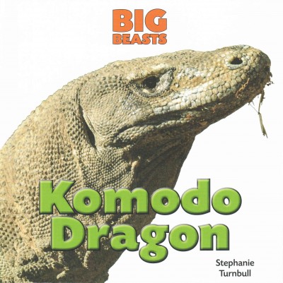 Komodo dragon / Stephanie Turnbull.