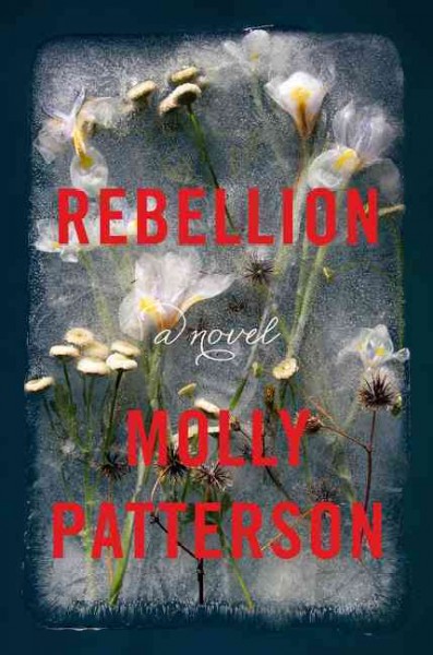 Rebellion : a novel / Molly Patterson.