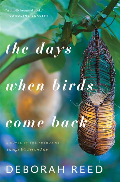 The days when birds come back / Deborah Reed.
