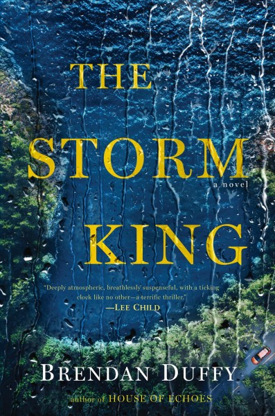 The Storm King : a novel / Brendan Duffy.