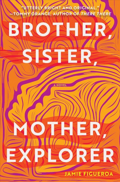 Brother, sister, mother, explorer : a novel / Jamie Figueroa.