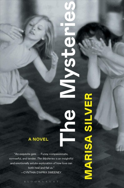 The mysteries : a novel / Marisa Silver.