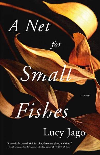 A net for small fishes : a novel / Lucy Jago.