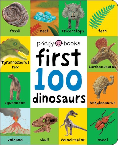 First 100 dinosaurs / illustrated by Andy Rowland.