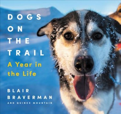 Dogs on the trail : a year in the life / Blair Braverman and Quince Mountain.