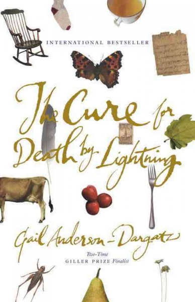 The cure for death by lightning : a novel / Gail Anderson-Dargatz.