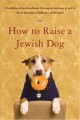 How to raise a Jewish dog Cover Image