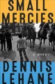Small Mercies : A Novel. Cover Image
